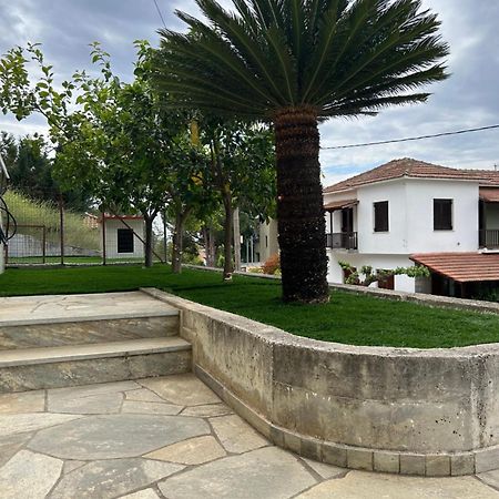 Athena'S Luxury Place Agria Dış mekan fotoğraf