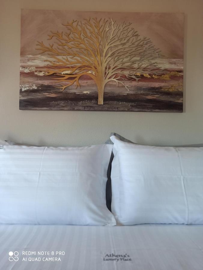 Athena'S Luxury Place Agria Dış mekan fotoğraf