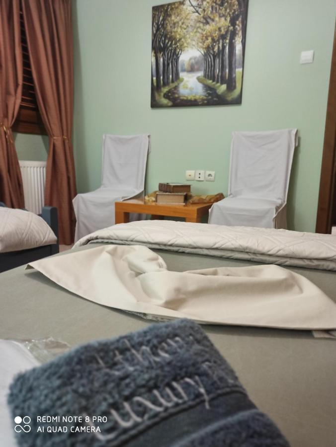 Athena'S Luxury Place Agria Dış mekan fotoğraf