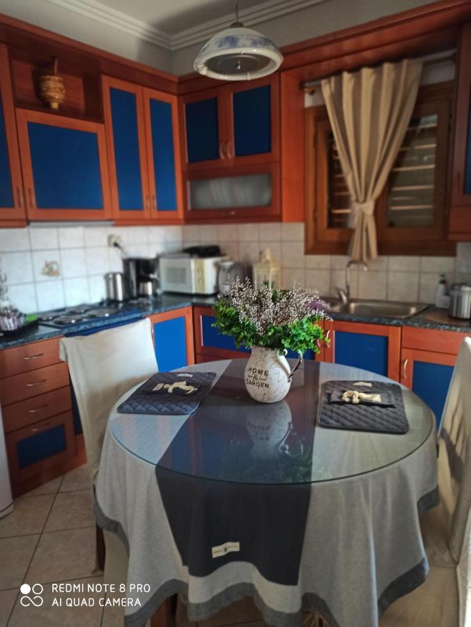 Athena'S Luxury Place Agria Dış mekan fotoğraf