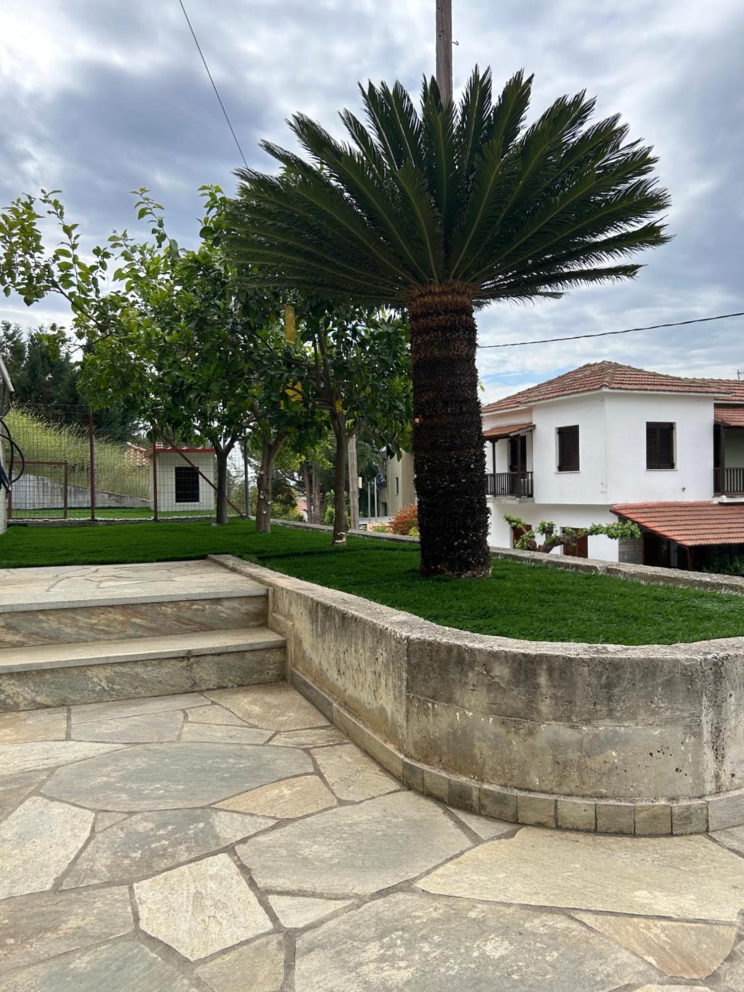 Athena'S Luxury Place Agria Dış mekan fotoğraf