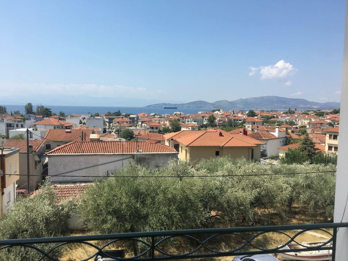 Athena'S Luxury Place Agria Dış mekan fotoğraf